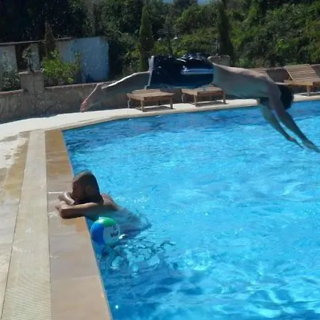 לינה וארוחת בוקר Mercan דטקה