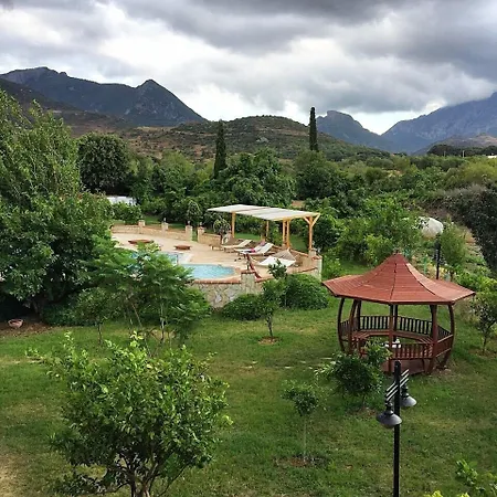 Mercan 2* ダッチャ