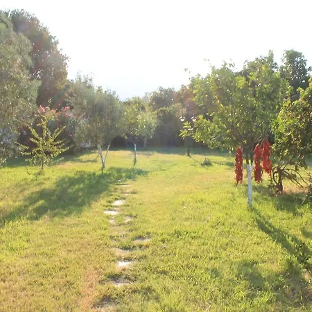 Mercan Panzió Datça