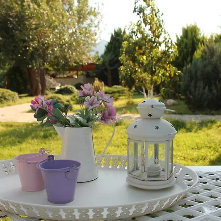 Mercan ベッド・アンド・ブレックファスト ダッチャ