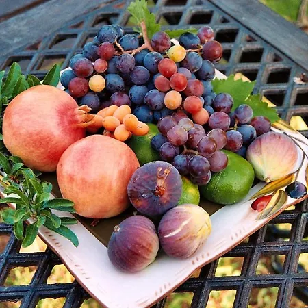 Mercan ベッド・アンド・ブレックファスト