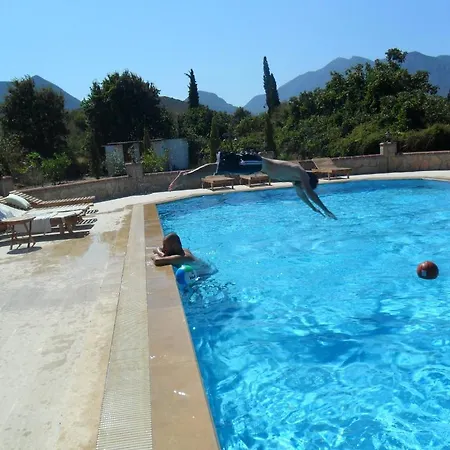 ベッド・アンド・ブレックファスト Mercan ダッチャ