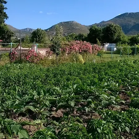 Mercan 2* Datça
