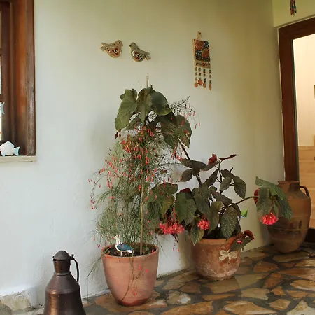 Bed and breakfast Mercan