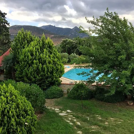 Mercan Datça