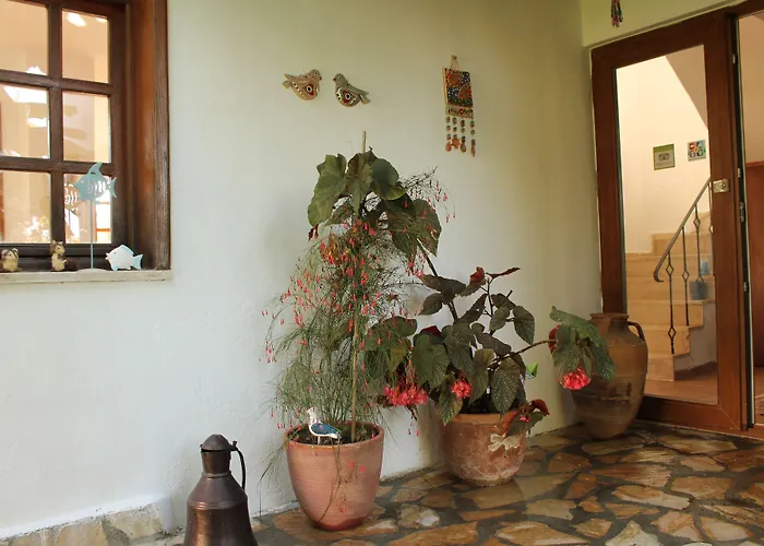 Bed and Breakfast Mercan